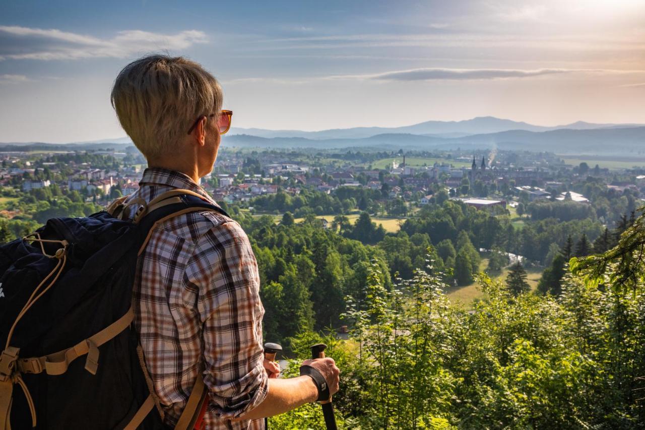 Hostel Bearlog Kocevje Zewnętrze zdjęcie
